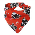Bandana Triangel