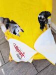 Kuscheldecke aus weichem Polarfleece